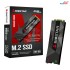 Biostar M500 M.2 256GB Internal SSD