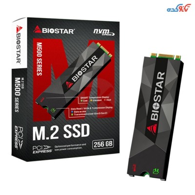 Biostar M500 M.2 256GB Internal SSD