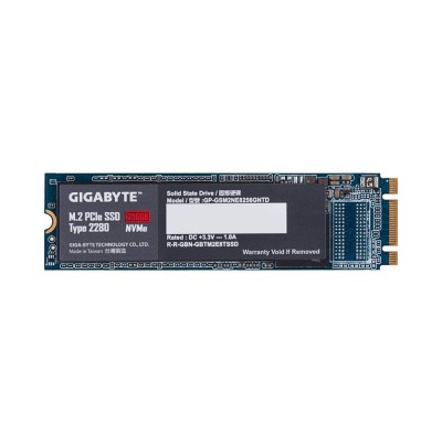 Gigabyte GP-GSM2NE8256GNTD 256GB Internal SSD