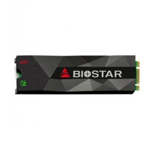Biostar M500 M.2 256GB Internal SSD