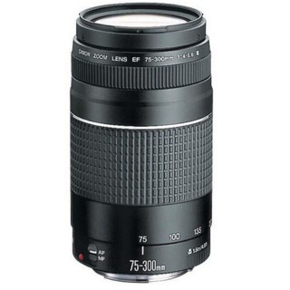 Canon EF 75-300mm III Lens