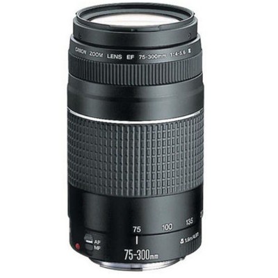 Canon EF 75-300mm III Lens