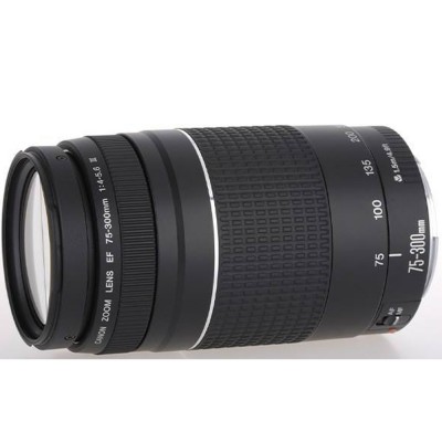 Canon EF 75-300mm III Lens
