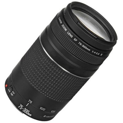 Canon EF 75-300mm III Lens