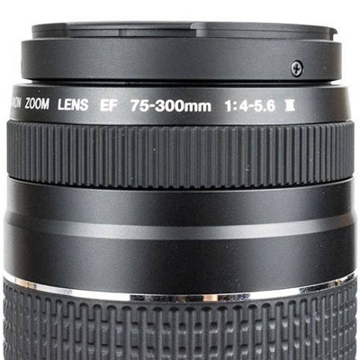Canon EF 75-300mm III Lens