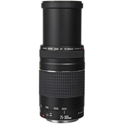 Canon EF 75-300mm III USM Lens