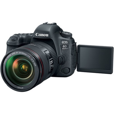 Canon EOS 6D Mark II with 24-105mm f/4L IS II Lens