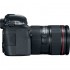 Canon EOS 6D Mark II with 24-105mm f/4L IS II Lens